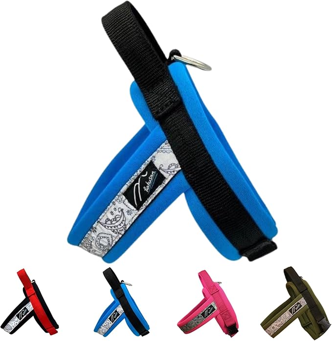 【Hakusan】 New Just Fit Dog Harness Dragon - Reflective, Paisley, Stress-Free, Japanese Made,one-Touch Buckles,Easily Put on,(Black×Turquoise, 5)