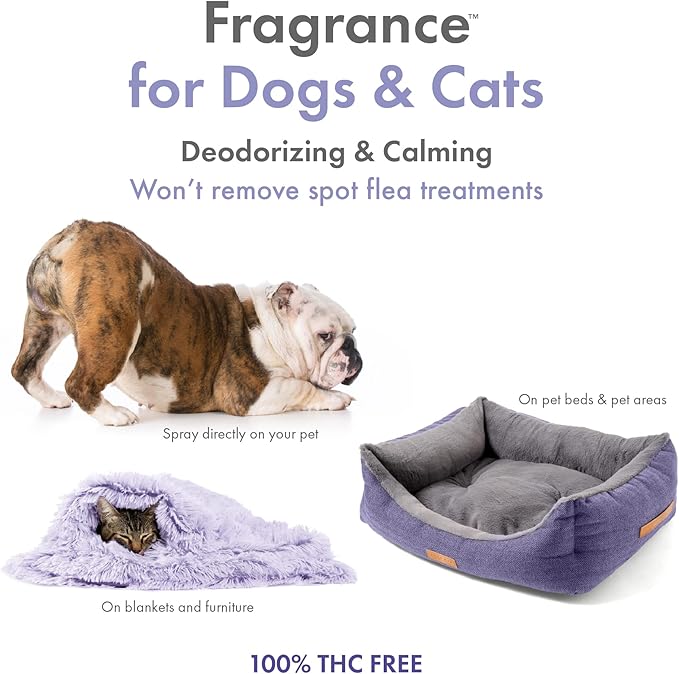 Petkin Hemp Fragrance for Dogs and Cats - with Hemp Oil & Calming Lavender Extract, 8 oz - Soothes, Calms & Conditions - Keeps Pet Smelling Great - for Home, Travel & Use on Pet Bedding