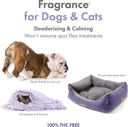 Petkin Hemp Fragrance for Dogs and Cats - with Hemp Oil & Calming Lavender Extract, 8 oz - Soothes, Calms & Conditions - Keeps Pet Smelling Great - for Home, Travel & Use on Pet Bedding