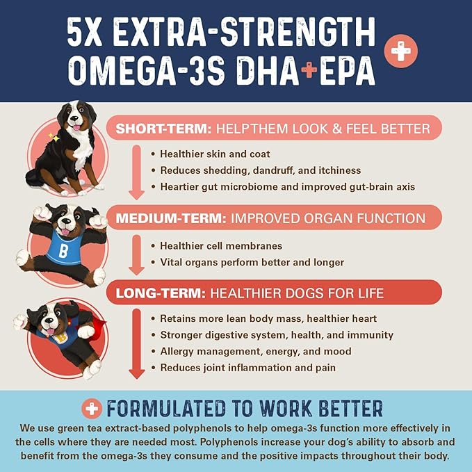 Bernie_ OMG! Omegas Chews for Dogs - 5X Extra Strength DHA+EPA, Fish Oil, Healthy Skin & Coat, Allergy Relief, Joint Supplement (Salmon Flavor)