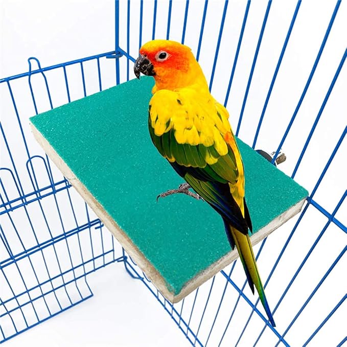 Colorful Bird Perch Stand, Birdcage Toys, Natural Wood Platform and Paw Grinding Sticks for Parrot, Budgies, Parakeet, Cockatiels, Hamster, Conure, Lovebirds, Gerbil, Rat, Mouse(4 PCS Set)