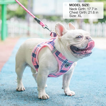 BEAUTYZOO Small Dog Harness and Leash Set,Step in No Chock No Pull Soft Mesh Dog Harnesses Reflective for Extra-Small/Small Medium Puppy Dogs and Cats, Plaid Dog Vest Harness for XS S Pets, Pink M