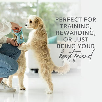 K9 Natural - Grain Free Freeze Dried Dog Treats - Beef Bites 1.76oz