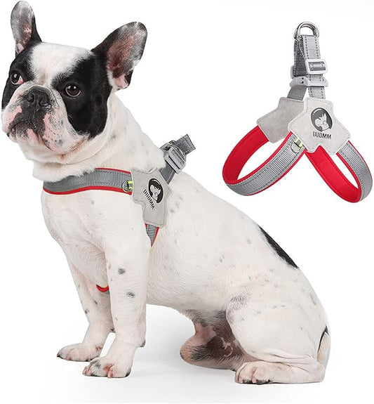 Dog Harness Y-Shaped Harness Breathable Heat Dissipation Easy to Wear Night Reflective Signs for Small and Large Dogs to Wear (Red,L Bust 22in-26in)