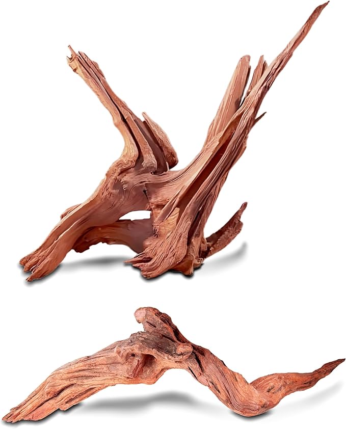 Natural Driftwood for Aquarium Fish Tank Decor,Assorted Trunk Driftwood Branch for Reptile Decor (ZYM+Strips(8-12 Inch)-2 PCS)
