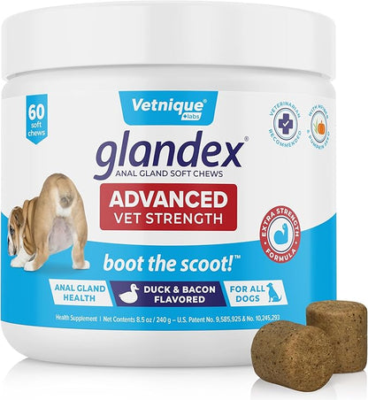 Glandex Anal Gland Soft Chew Treats with Pumpkin for Dogs Digestive Enzymes, Probiotics Fiber Supplement for Dogs Boot The Scoot (Advanced Strength Duck/Bacon Chews (Vegetarian), 60ct)