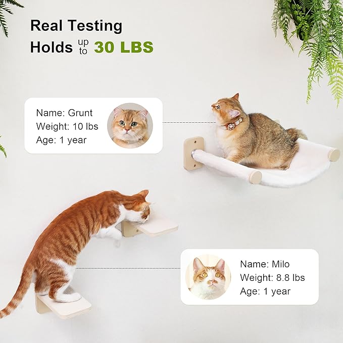 FUKUMARU Cat Wall Hammock with Two Steps Set, Modern Cat Climbing Shelves Furniture, Kitty Bed with Thickened Fabric for Sleep, Climb and Play