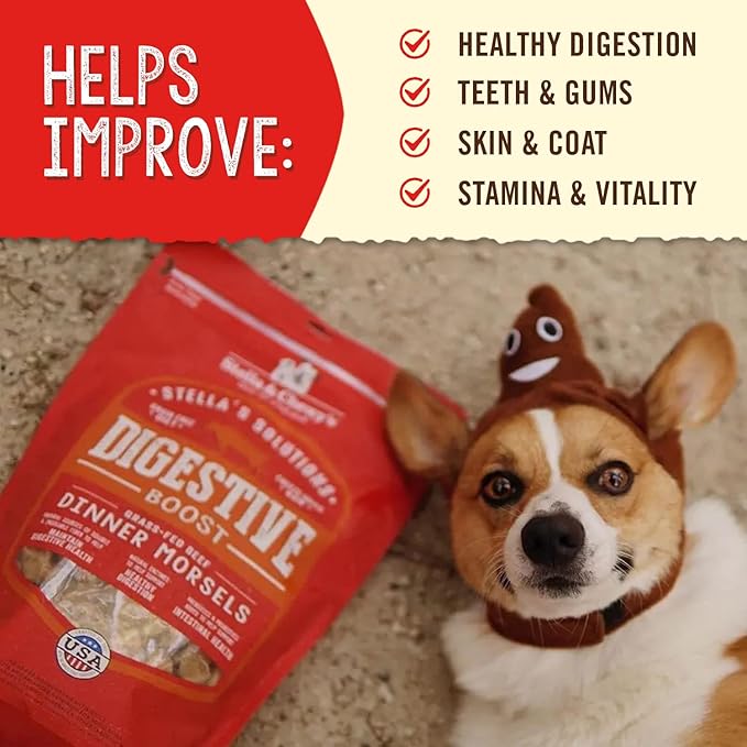 Stella & Chewy's – Stella’s Solutions Digestive Boost – Grass-Fed Beef Dinner Morsels – Freeze-Dried Raw, Protein Rich, Grain Free Dog Food – 13 oz Bag