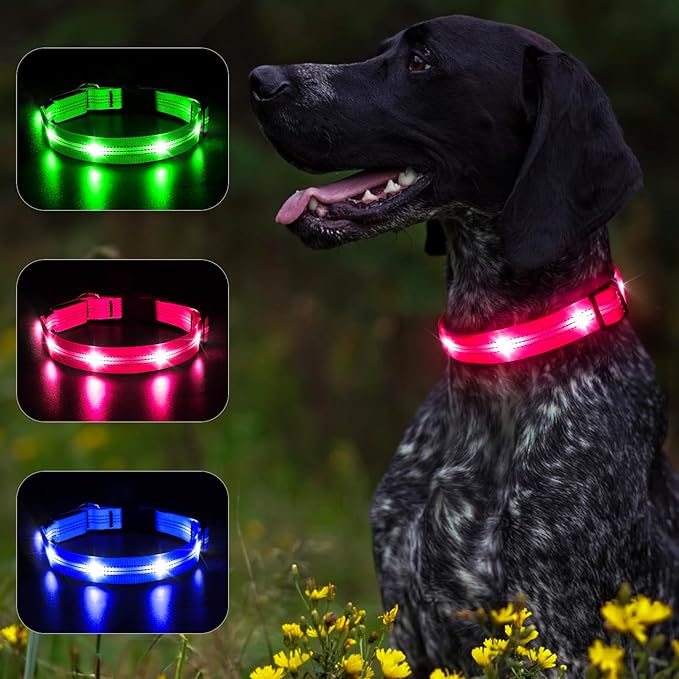 BSEEN Light Up Dog Collars - Glowing LED Dog Collar, Reflective Puppy Collar, Adjustable Lighted Dog Collar, Rechargeable Pet Collar for Night Walking (Pink-II, Large)