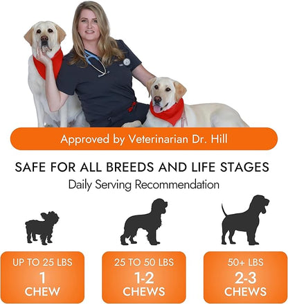 Dog Hip and Joint Supplement - Glucosamine for Dogs (Beef Liver, 60 Chews) - Dog Joint Supplement with MSM, Chondroitin, Vet Approved Dog Vitamins -Mobility Joint Pain Supplements