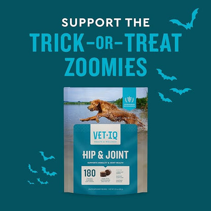 VetIQ Glucosamine Hip & Joint Supplement for Dogs, 60 Soft Chews, Joint Support Supplement with MSM and Krill, Dog Health Supplies Large & Small Breed, Chicken Flavored Chewables