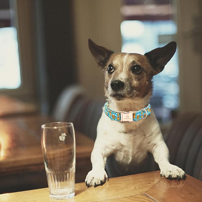 Lionheart glory Dog Collar Blue Dog Collar Summer Dog Collar Party Collar Dog Boy or Girl Soft Durable Adjustable Dog Collars for Small Dogs