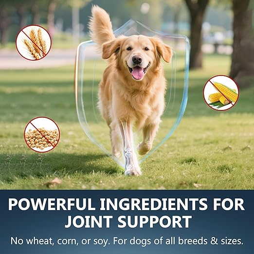 Glucosamine for Dogs - 150 Soft Chews, Hip & Joint Supplement with MSM, Chondroitin, Turmeric  Joint Support for Dogs Chicken Flavor  Vet Formulated  2-Month Supply