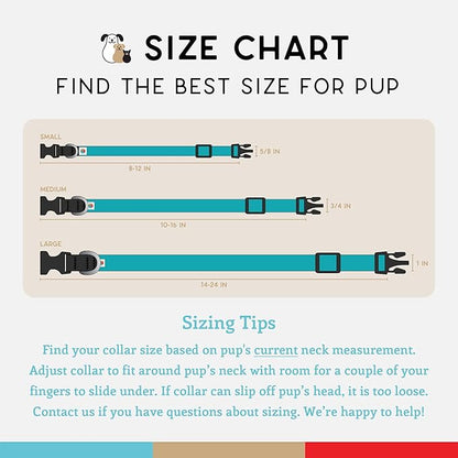 Dog Collar, Lightweight, Heavy Duty Dog Collar with Buckle, Fabric Pet Collar, Breathable & Adjustable Puppy Collar, Dog Collars for Small Dogs (Turquoise, Small - 8-12 Inch) - Wildebeest