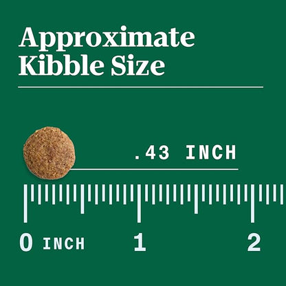 Nutro Limited Ingredient Diet Adult Dry Dog Food, Lamb & Sweet Potato Recipe, 4 lbs.