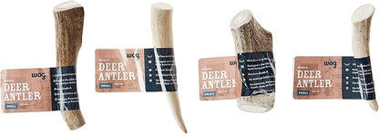 Amazon Brand  Wag Dog Deer Antler Chew, Naturally Shed. Whole, Small (Best for Dogs Under 15 lbs) 45.5 inches (Pack of 4)