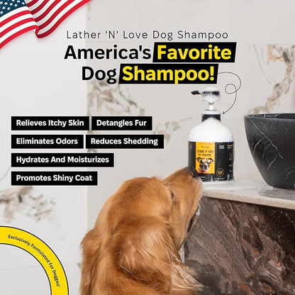 Natural Pet Wash, Dog Grooming Shampoo with Aloe Vera, Itchy Skin, Allergy Relief, Pet Supplies with No Parabens & Sulfates, Long-Lasting Scent, Reduces Odors, for All Breeds & Puppies, 16.9 Fl Oz