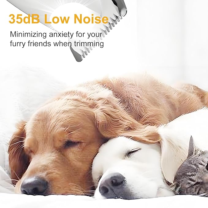 Electric Dog Paw Trimmer with LED Light, Low Noise Rechargeable Pet Hair Shaver for Ears, Face, Rump and Small Areas, Dog Grooming Kit