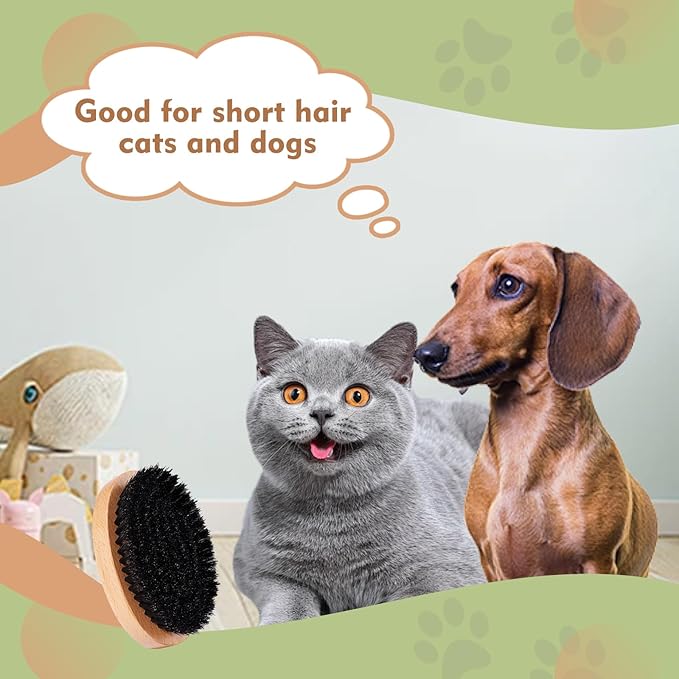 Soft Bristle Cat Brush, Wooden Cat Brush with Soft Boar Bristle, Natural Oval Pet Brush for Short Hair Cats and Small Dogs