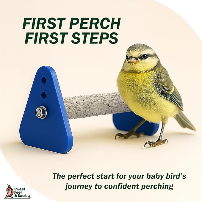 Portable Bird Perch Stand for Small Birds to Keep Nails and Beaks in Top Condition - Safe, Non-Toxic, Easy to Install Cage Accessories
