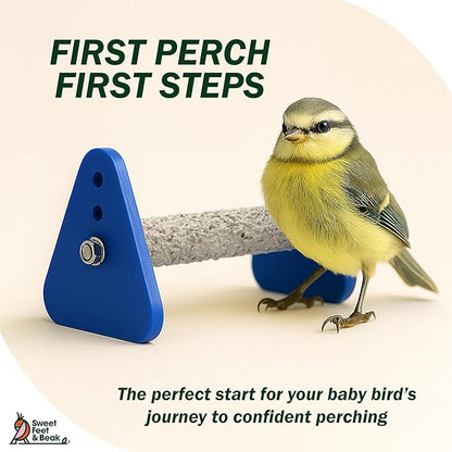 Portable Bird Perch Stand for Small Birds to Keep Nails and Beaks in Top Condition - Safe, Non-Toxic, Easy to Install Cage Accessories