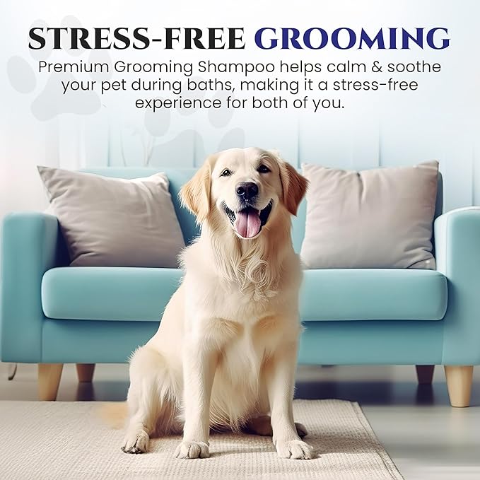 605Products - Natural Dog Shampoo for Itchy and Sensitive Skin, Puppy Shampoo and Odor Eliminator for Smelly Dogs and Puppies, Pet Shampoo and Deodorizer - Dog Bath Supplies (Blue Ribbon)