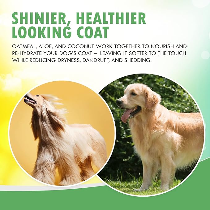 Fur Foam Dog Shampoo with Oatmeal, Coconut and Aloe. Hypoallergenic, Softens Coat, Moisturizes Dry Skin, Restores Shiny, Lathers from Bottle. (16.9oz)