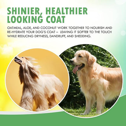 Fur Foam Dog Shampoo with Oatmeal, Coconut and Aloe. Hypoallergenic, Softens Coat, Moisturizes Dry Skin, Restores Shiny, Lathers from Bottle. (16.9oz)