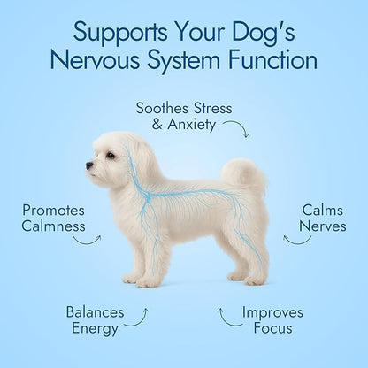 Pet Vet Calming Chews for Dogs – Dog Anxiety Relief (Beef Liver Flavor 60 Chews) – Stress Relief, Dog Supplements for Hyperactive & Anxious Dogs – Dog Anxiety Chews for Relaxation, Dog Care Products