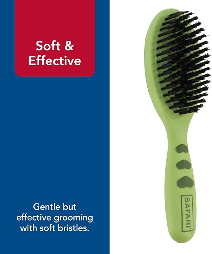 Coastal Pet - Safari - Bristle Dog Brush, Brush, Large (9" L x 2.625" W)