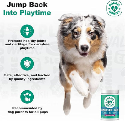 Doggie Dailies, Advanced Senior Hip and Joint Supplement for Dogs, Glucosamine Chondroitin, Premium Hip and Joint Chews for Dogs All Breeds & Sizes, Dog Vitamins and Supplements, (Duck) 120 Chews