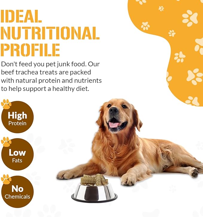 Beef Trachea for Dogs - Dog and Puppy Chews | Amazing for Joints | 12 in, 4 Pack | Made in USA | All-Natural Treats | Large and Small Dogs | Nothing Added | Lots of Natural Glucosamine
