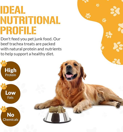 Beef Trachea for Dogs - Dog and Puppy Chews | Amazing for Joints | 12 in, 4 Pack | Made in USA | All-Natural Treats | Large and Small Dogs | Nothing Added | Lots of Natural Glucosamine