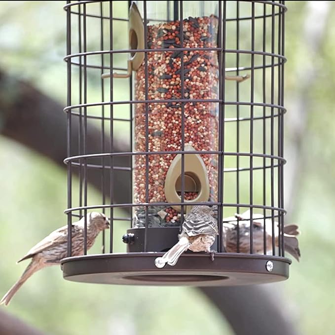 Caged Bird Feeders Metal - 3 Lbs - Squirrel-Proof Wild Bird Feeders, Clear Tube Feeders Hanging Outside Starling Proof, Detachable Cleaning, 4 Feed Ports(Copper)