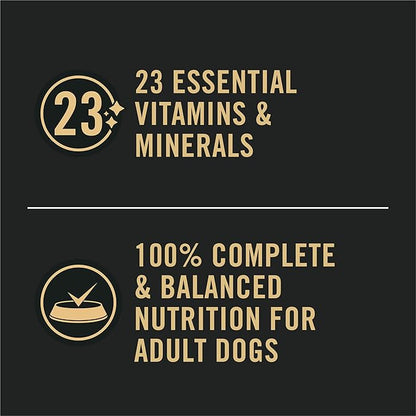 Purina Pro Plan Sensitive Skin and Stomach Dog Food Wet Classic Pate Lamb and Oat Meal Entrée - (Pack of 12) 13 oz. Cans