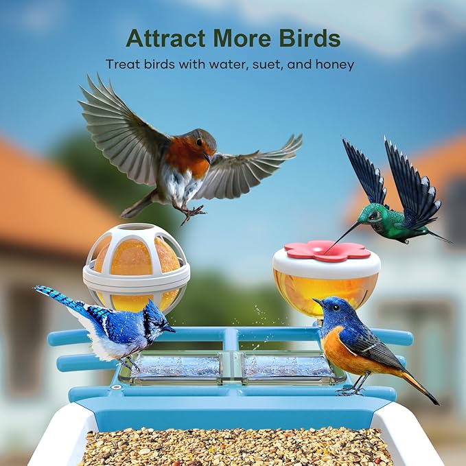 Smart Bird Feeder with Camera: Solar Powered Birdhouse with AI Recognition, Wireless Bird House with Camera for Outdoor, Unique Birthday Gifts for Mom Dad - Blue