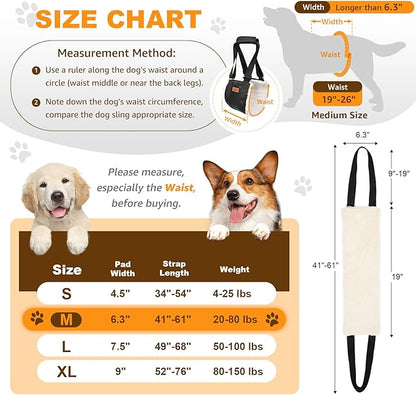 Adjustable Dog Lift Harness, Dog Sling for Large Dogs Lift Support and Rehab Harness for Weak Rear Legs, Soft Hind Leg Support Helps Senior, Injured, Disabled and After ACL Surgery Dogs(Black,Medium)