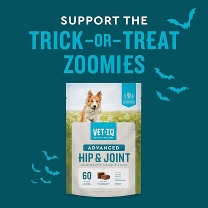 VetIQ Advanced Hip & Joint Chews For Dogs, 60 Count, Chicken Flavored Supplements Made with Glucosamine, Omega 3_, Chondroitin, MSM & Green Lipped Mussel, Increases Mobility & Maintains Muscles