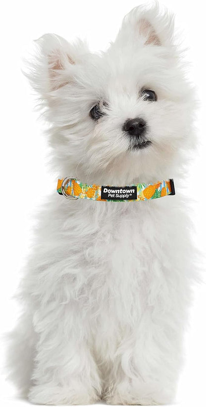 Downtown Pet Supply - Best, Cute & Fancy Dog Collar - Lightweight Adjustable Dog Collar with Quick Buckle & D-Ring - Hand Wash Safe - Pineapple - L - Large Dog Collar