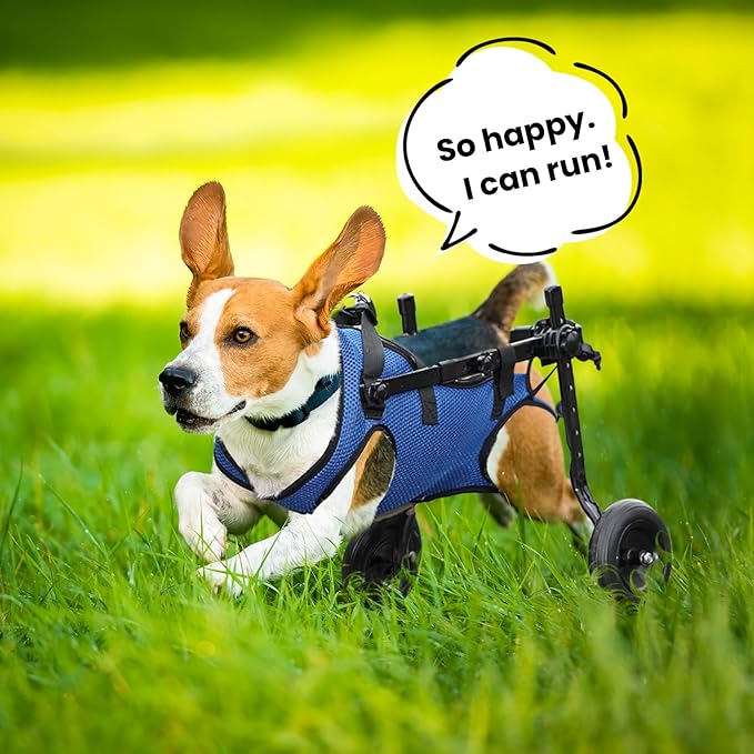 Dog Wheelchair for Back Legs, Dog Wheelchair for Small Dog, Adjustable Pets Cart with Wheels, Doggy Wheelchairs for Disabled Hind Legs, Dog Leg Brace and Hip Support, Medium