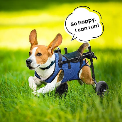Dog Wheelchair for Back Legs, Dog Wheelchair for Small Dog, Adjustable Pets Cart with Wheels, Doggy Wheelchairs for Disabled Hind Legs, Dog Leg Brace and Hip Support (Medium)