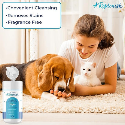 Replenish Facial and Tear Stain Remover Wipes for Dogs and Cats - Dog Wipes for Face - Gentle Cleaning Pet Eye Wipes for Cats - Dog Eye Wipes Tear Stain Remover Eye Discharge, and Crust - 60 Count