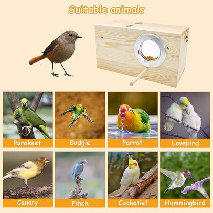 PINVNBY Natural Wood Parakeet Nesting Box Budgie Breeding Box Acrylic Bird Nest for Cage Transparent Panoramic for Parrots, Cockatiels, Lovebirds, Canaries, and Small Birds (M: 9.8 x 5.3 x 5.3 inch)