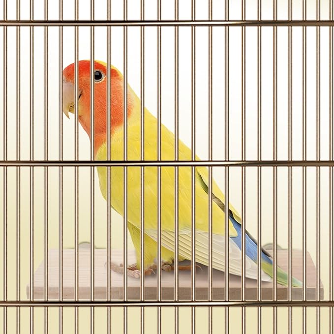3 Pack Bird Perch Stand, Parrot Wood Platform, Natural Wooden Perch Toys Playground Cage for Conure, Chinchilla, Parakeet, Budgie, Cockatiel