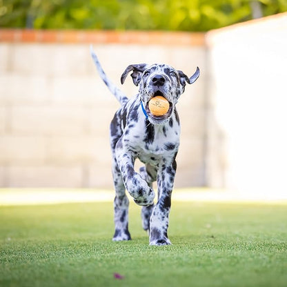 Hyper Pet MINI Tennis Balls for Dogs (Pet Safe Dog Toys & Dog Tennis Balls for Exercise, Training, Hyper Pet K9 Kannon Dog Ball Launcher) Bright Colored Interactive Dog Toy Dog Balls-Orange Pack of 4