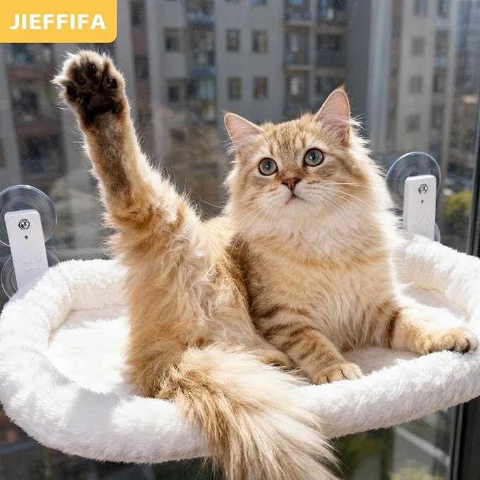 Cat Window Perch with Strong Suction Cups, 55lbs Hold Weight Tested, Foldable Cat Window Hammock Bed with Breathable Mesh, All-Season Lounger for Medium Small Cats to Bird Watch & Sunbathe (White, L)