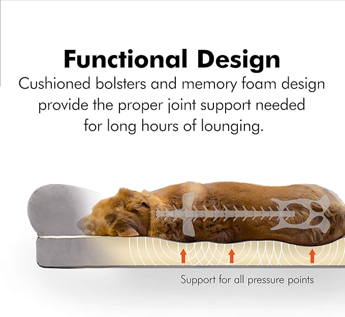 Friends Forever Small Dog Bed, Orthopedic Dog Sofa Memory Foam Mattress, Calming Dog Couch Bed, Wall Rim Pillow, Water Resistant Liner, Washable Cover, Non-Slip Bottom, Chester, Small Khaki Beige