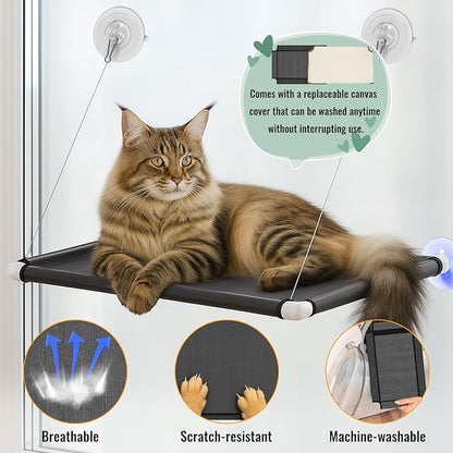 2 Pack Cat Window Perches, Easy Mounted Cat Hammock Window with 6 Strong Suction Cups, Black Mesh Fabric and Canvas Pads, Window cat Bed for Large Cats and Kittens, 38Lbs Load Capacity