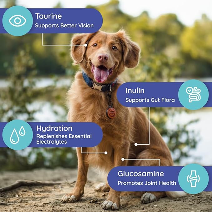 Petralyte Dog Electrolytes and Joint Supplement | Hydration Support for Dogs w/Glucosamine, Chondroitin & More | Electrolytes for Dogs with Prebiotics | for Beef Lovers | 32 Packets