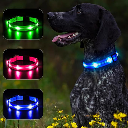 BSEEN Light Up Dog Collars - Glowing LED Dog Collar, Reflective Puppy Collar, Adjustable Lighted Dog Collar, Rechargeable Pet Collar for Night Walking (Blue-II, Small)